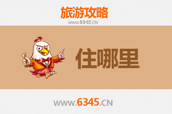 桃园民宿全攻略：沉浸式体验在地文化与自然风情